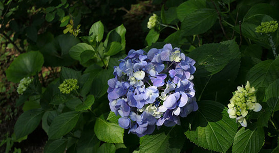 p2180561.jpg