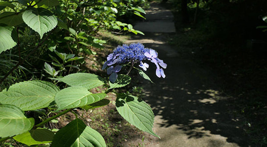 p2180398.jpg
