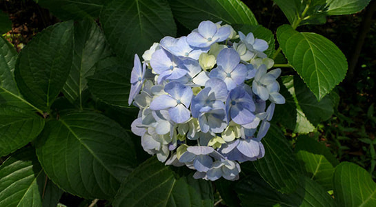 p2180350.jpg