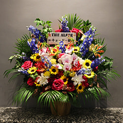 0n7a3387.jpg