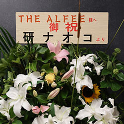 0n7a8498.jpg