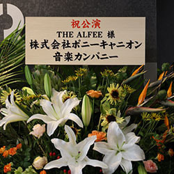 0n7a8503.jpg