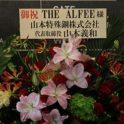 0n7a8508.jpg