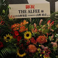 0n7a8507.jpg